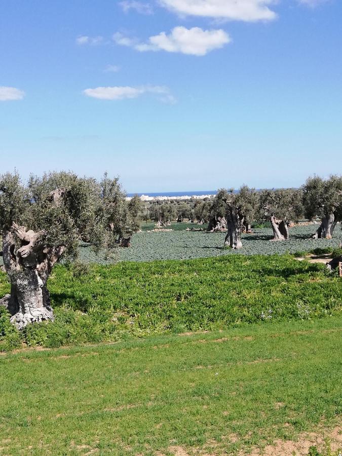Masseria Ricci Fasano Eksteriør billede