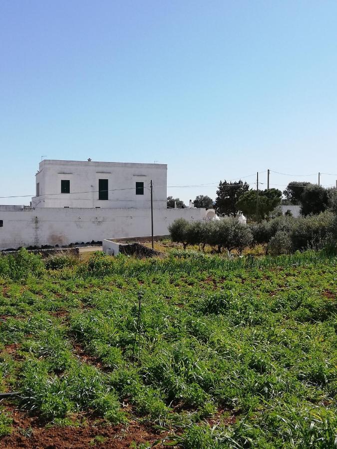 Masseria Ricci Fasano Eksteriør billede