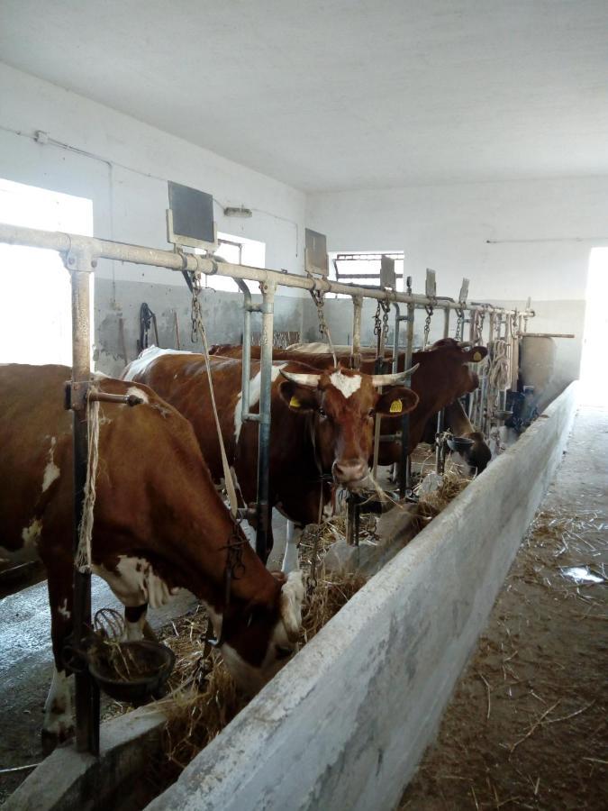 Masseria Ricci Fasano Eksteriør billede