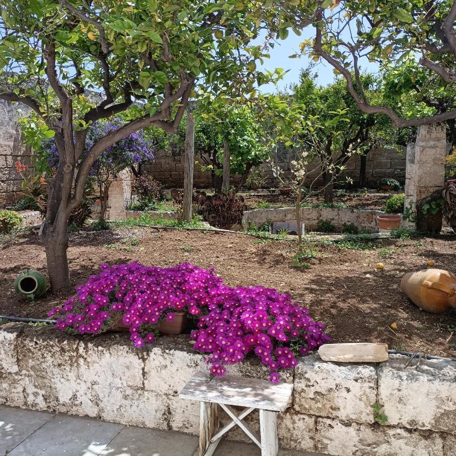 Masseria Ricci Fasano Eksteriør billede
