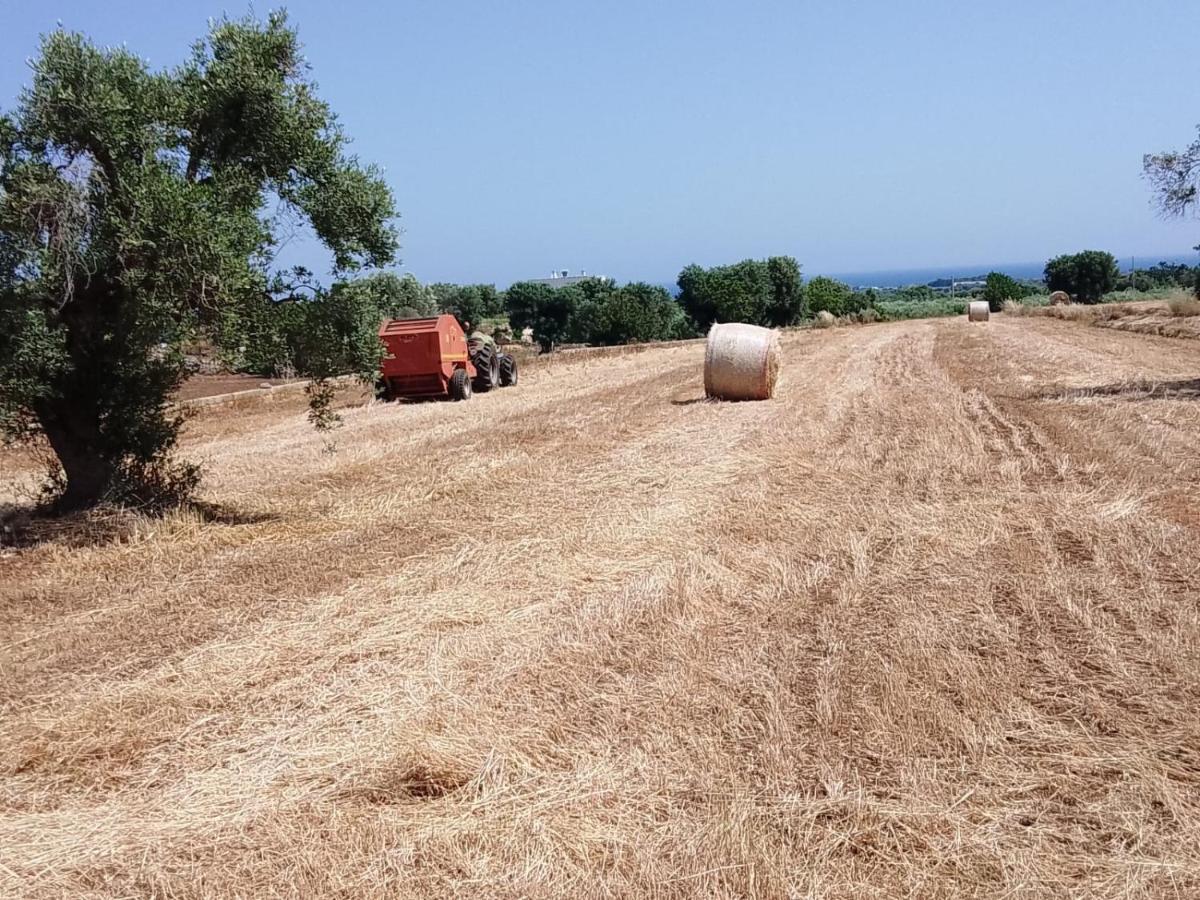 Masseria Ricci Fasano Eksteriør billede
