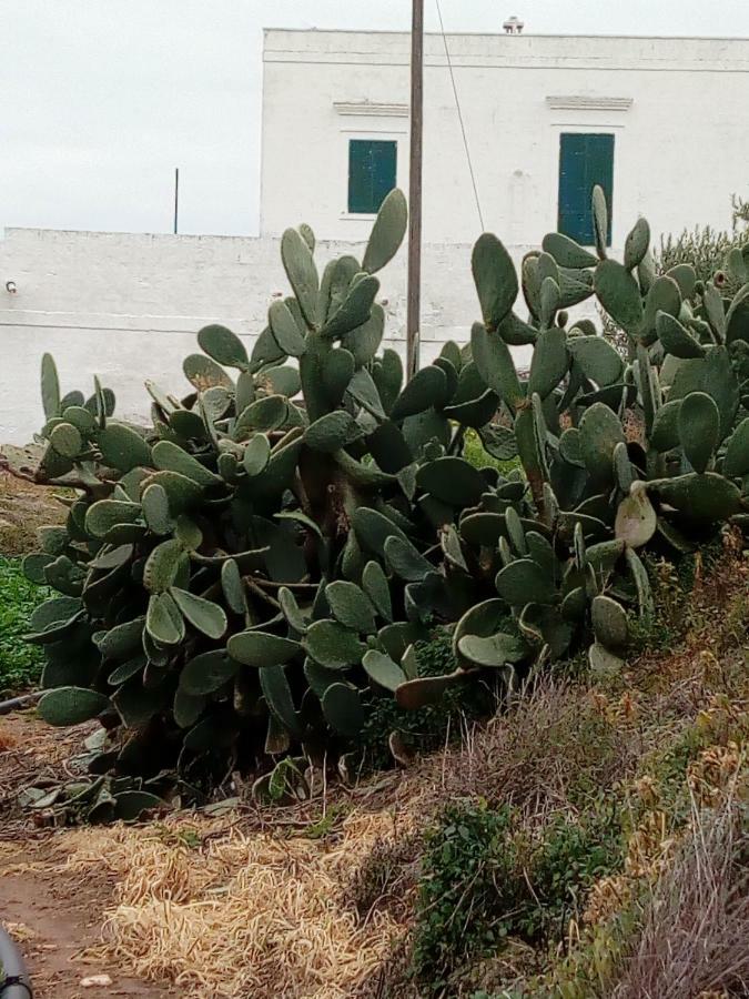 Masseria Ricci Fasano Eksteriør billede