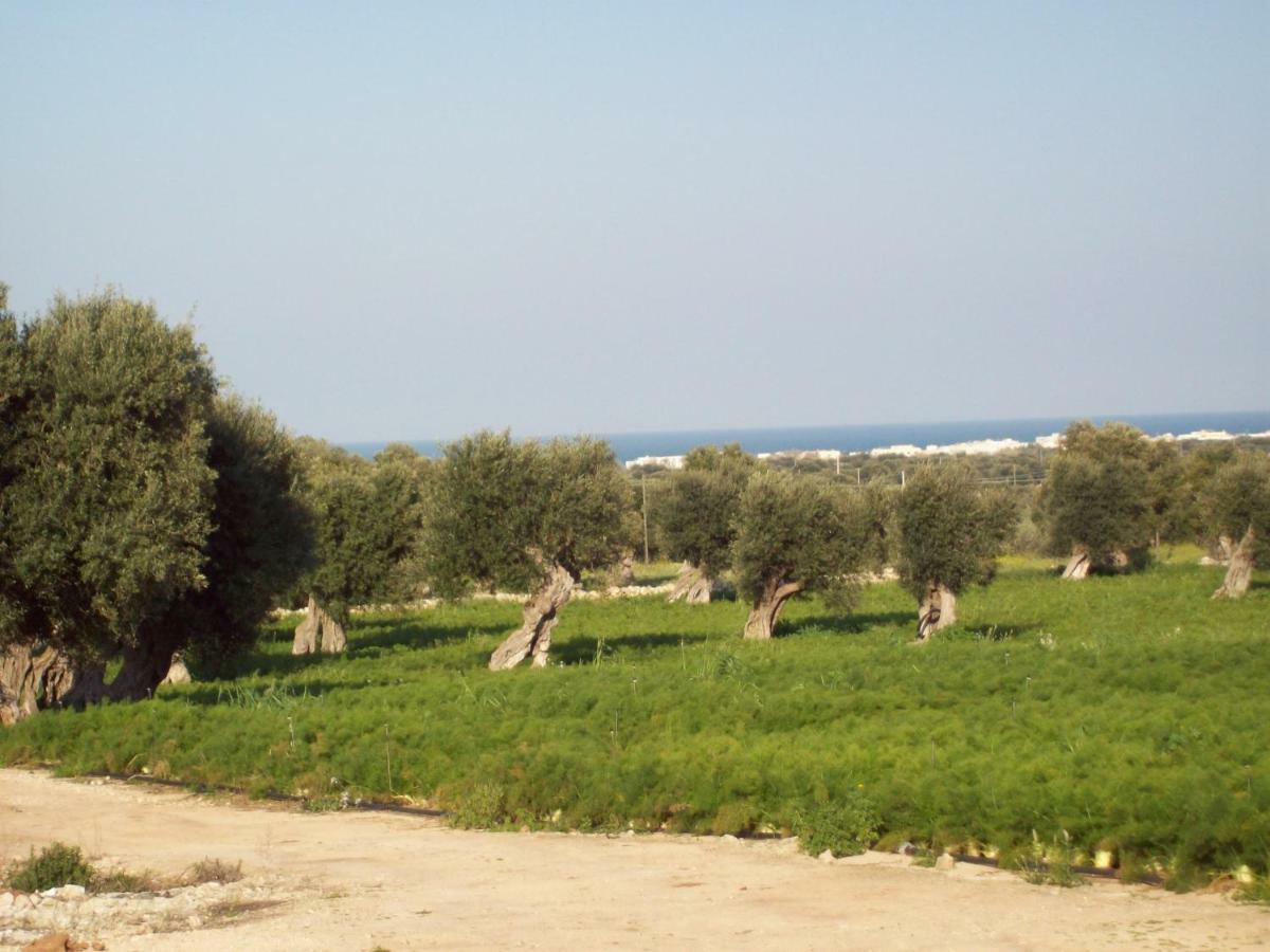 Masseria Ricci Fasano Eksteriør billede